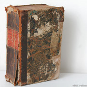 IMG-7001