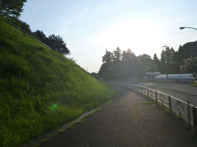P1340736.jpg