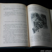 IMG-8301