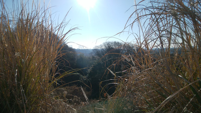 IMG-20230109-092325.jpg