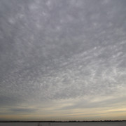 IMG-3670