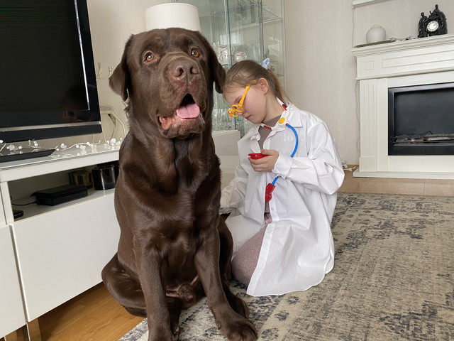 F1-B4-E08-E-98-E0-487-C-8-E3-B-B58-A49-A