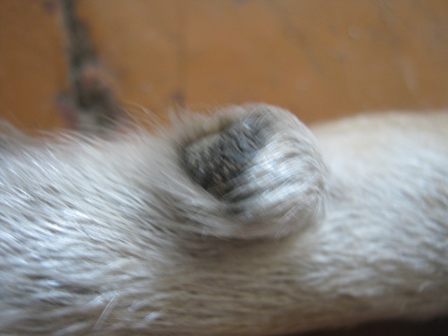 IMG-6105.jpg