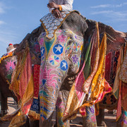 08dsc06203