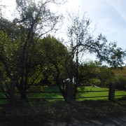 DSCF5515