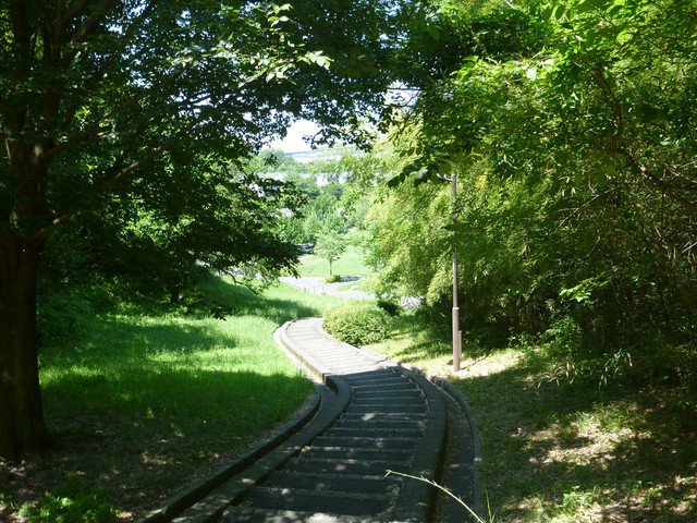 P1320175.jpg