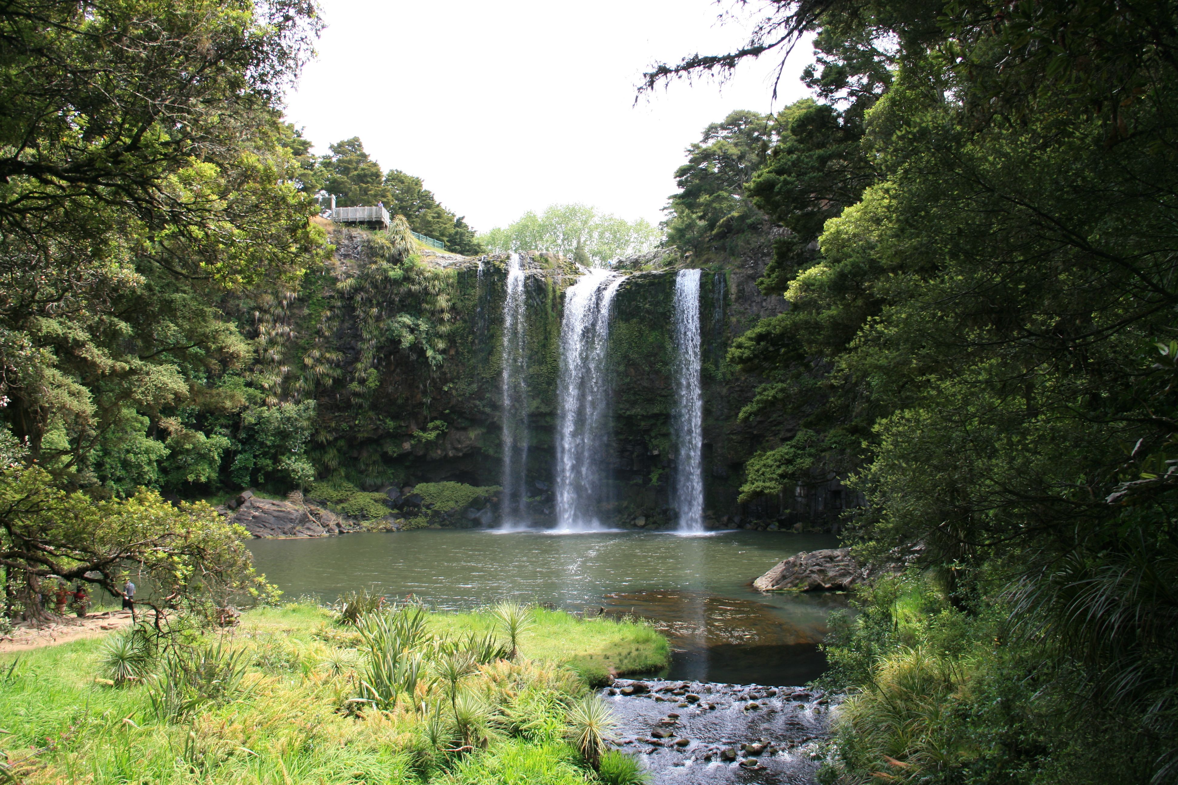 WHANGAREI - 20 dias en Nueva Zelanda (2)