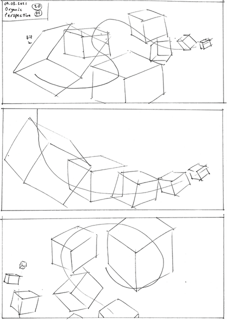 20H-Organic Perspective II.png