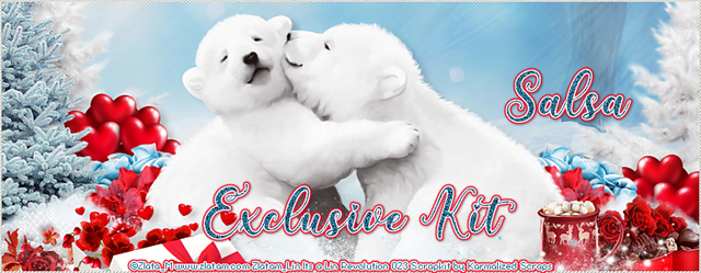 Salsa-Valentine023-Coupon-Exclusive-Kit