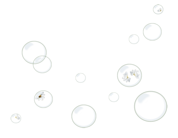 HAK-Element-120.png