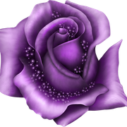 PURPLE-FANTASY-ELEMENT-72