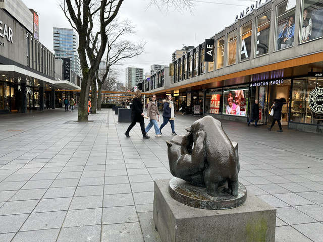 IMG-8862