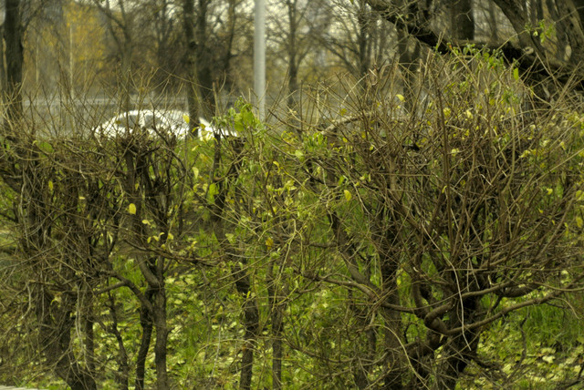 DSC7901.jpg