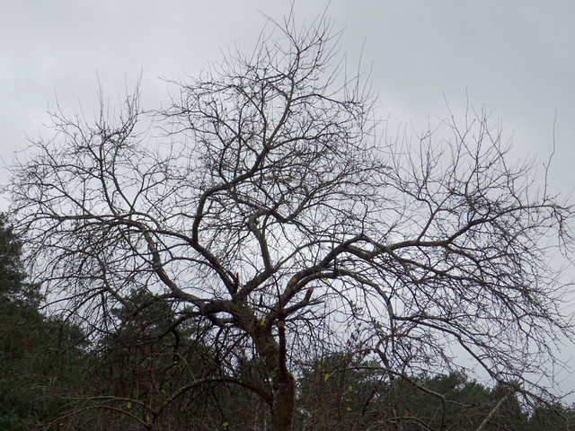 DSC09667.jpg