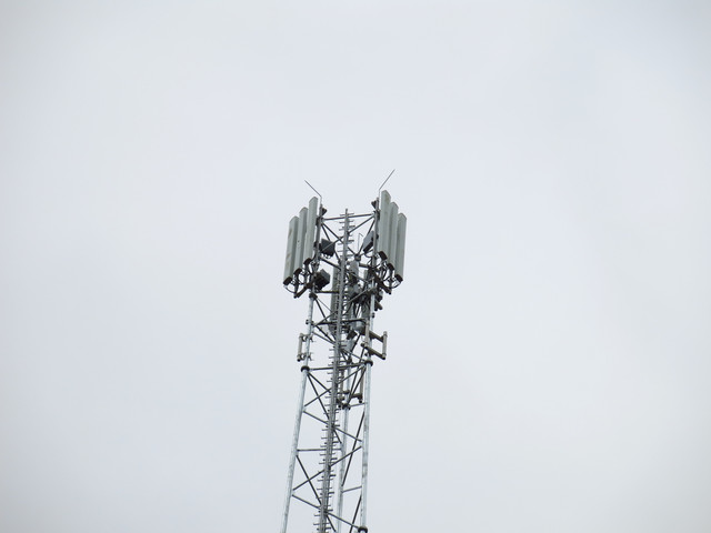 IMG-3644