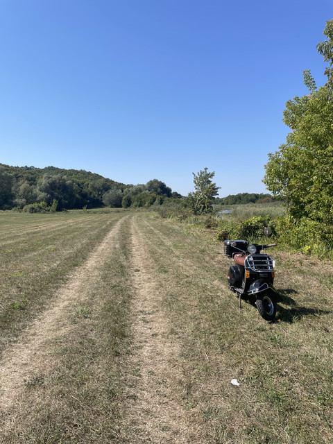 IMG-6543
