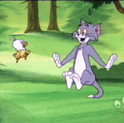80-34-tom-flies0