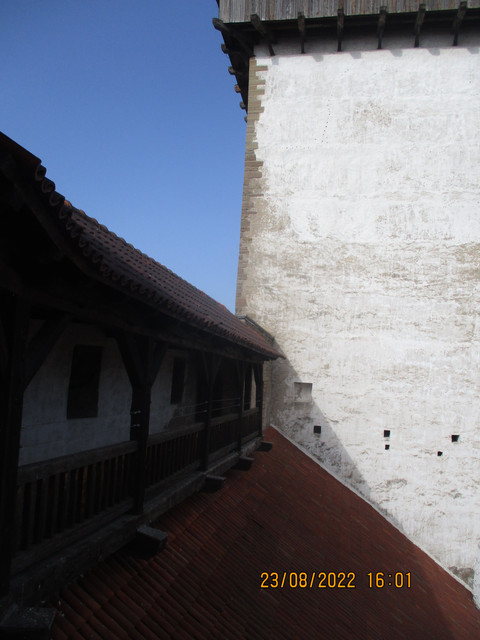 IMG-0892