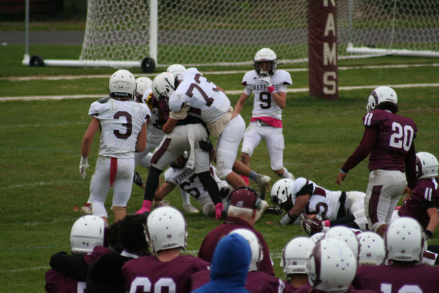 IMG-0730.jpg