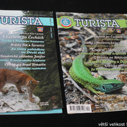 IMG-3329