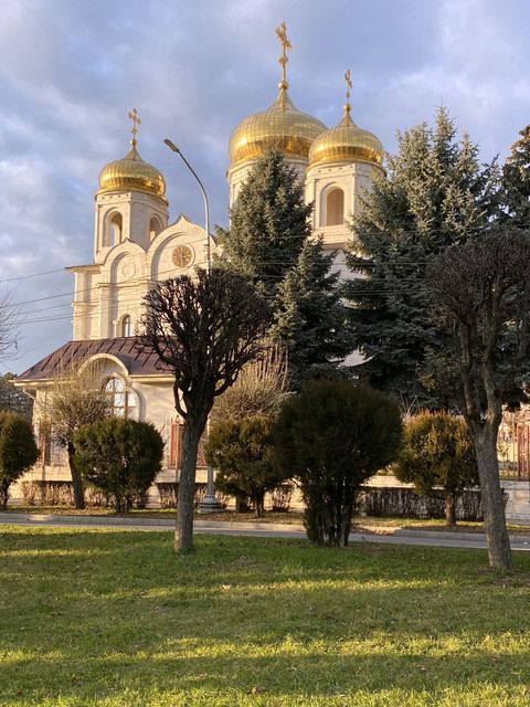 IMG-6253