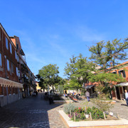 IMG-0520