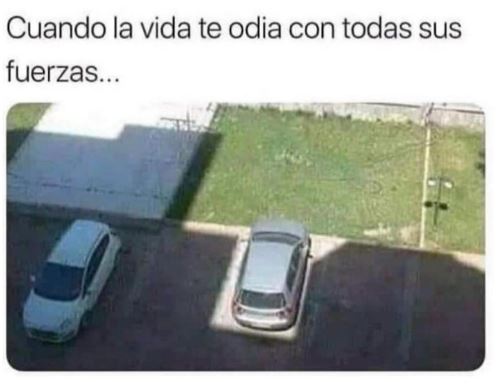 odio.jpg