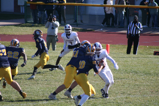 IMG-2967.jpg