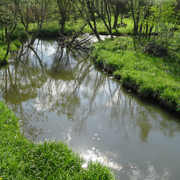DSC00051-5