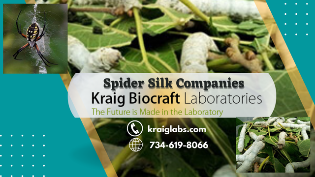 Kraig Biocraft Laboratories is pioneering the next generation of high-performance fibers based on genetically engineered spider silk.
For more information, visit this website: https://www.kraiglabs.com/spider-silk-company/