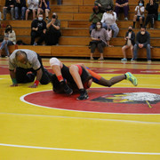 IMG-0321