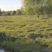 DSC3503
