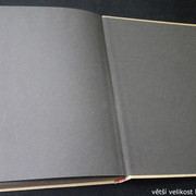 IMG-3536
