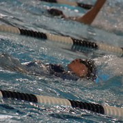 IMG-0185