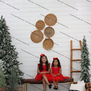 IMG-4596