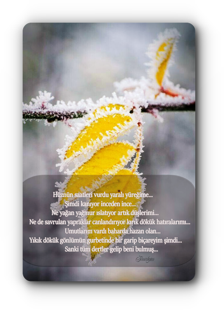 cab4acdefdwef5c6d54100609edea80f353d9ce.png