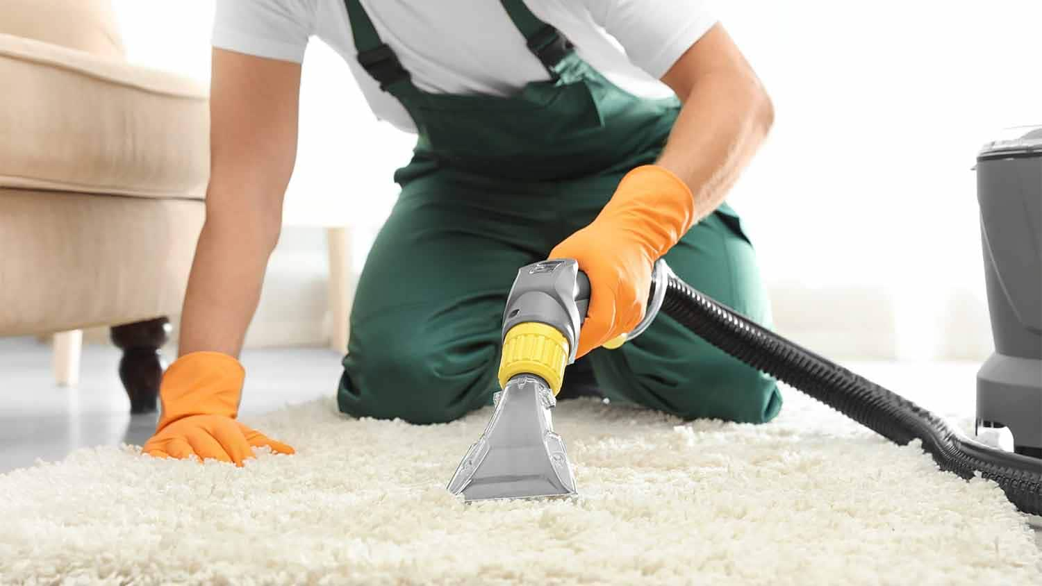 House and Carpet Cleaning Services to Keep Your Home Pristine House and Carpet Cleaning Services to Keep Your Home Pristine