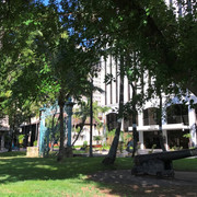 IMG-4118