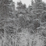 IMG20211123085243