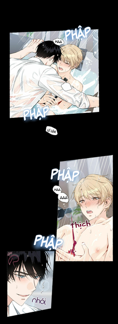 023.png