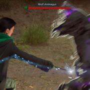 Wolf-Animagus