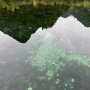 IMG-3141