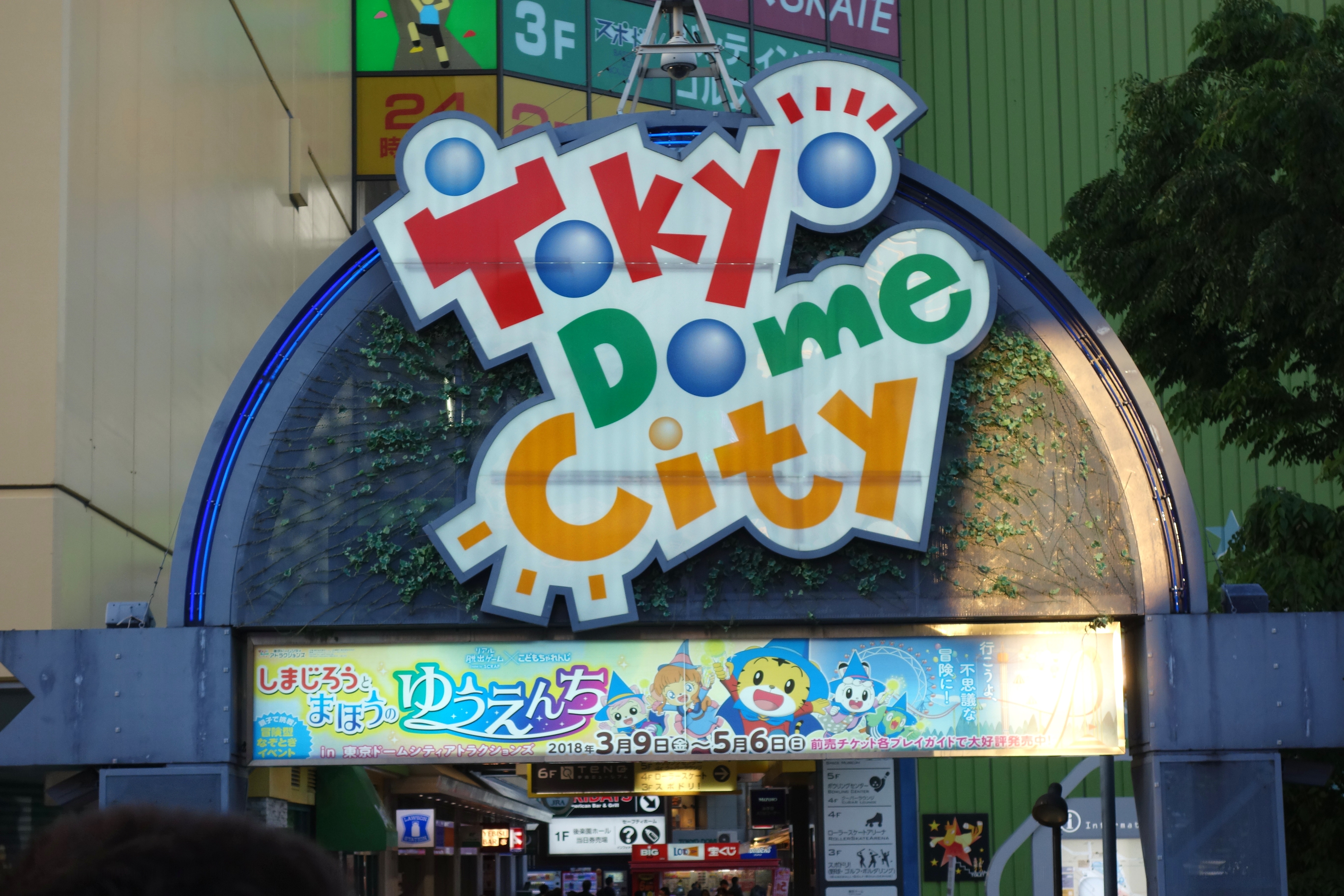 DSC02541