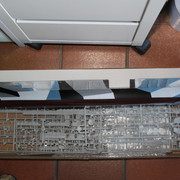 IMG-1069