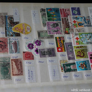 IMG-3738