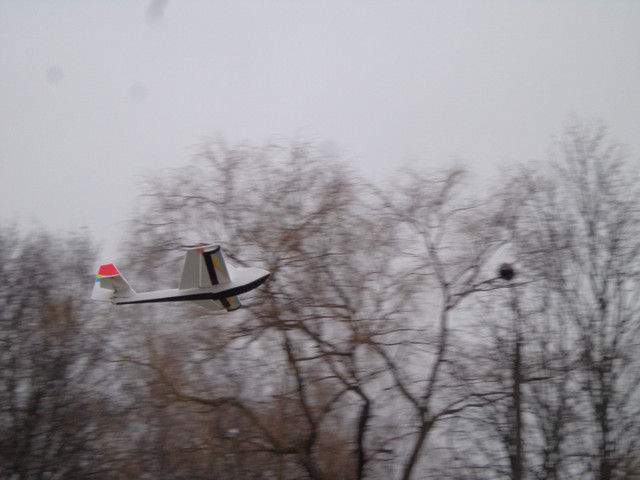 DSC03815.jpg