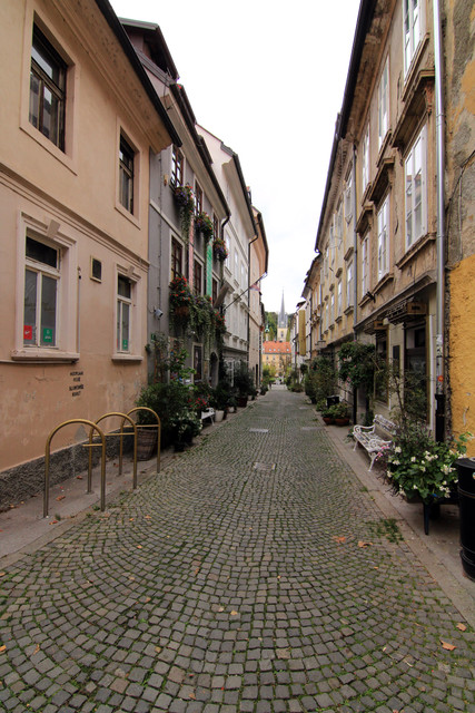 IMG-0025