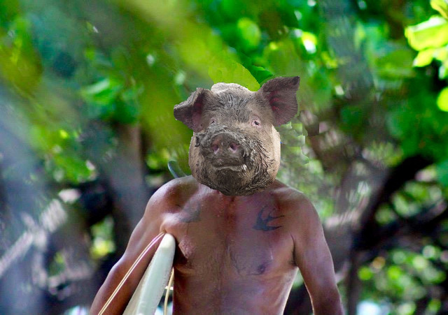 pork-major