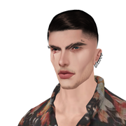 hi-Res-No-Bg308