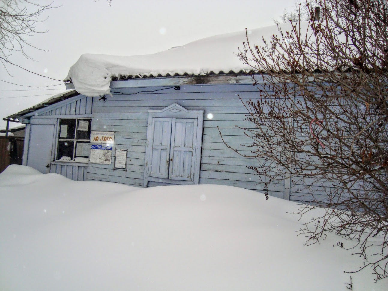 DSC06217